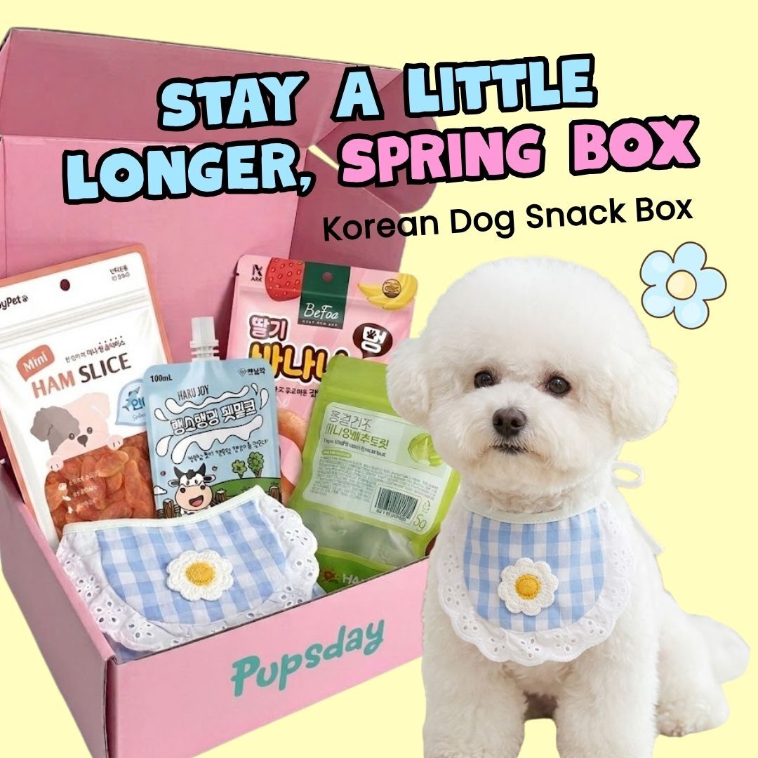 Last month's Pupsday box — Stay a little longer