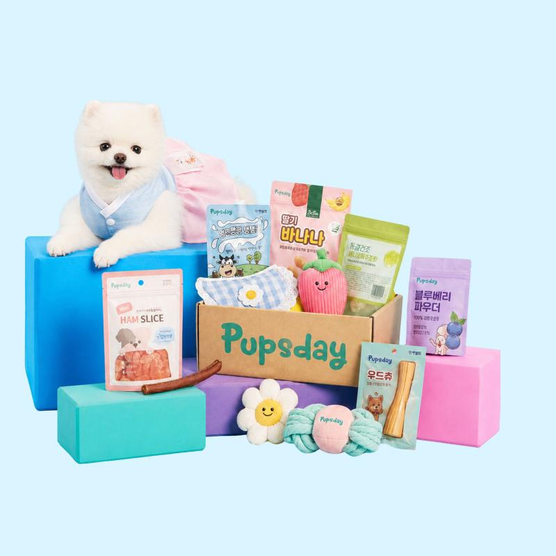Korean Treat Box for Dogs