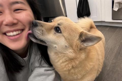 Bori with their human