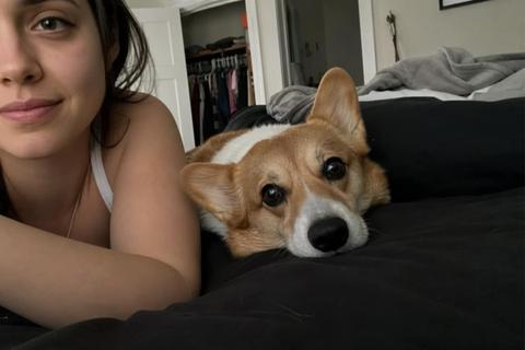 Tofu with their human