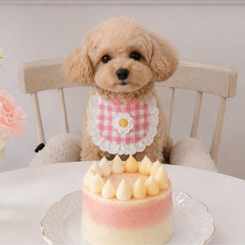 Party Cake Mix for Dogs — DIY Birthday Cake Kit